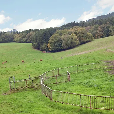 Apartman In Gerolstein-muellenborn *