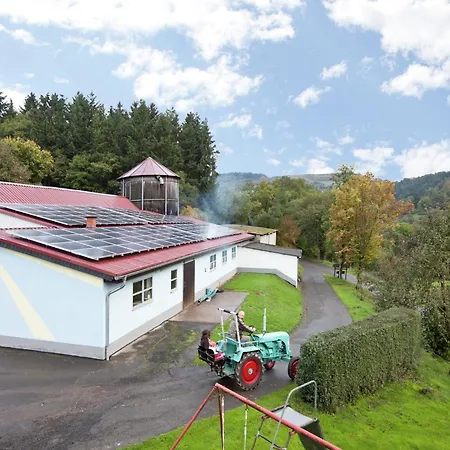 In Gerolstein-muellenborn Apartman Roth
