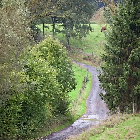 Apartman In Gerolstein-muellenborn Roth