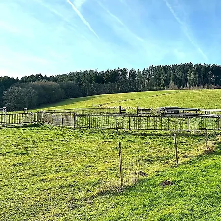 In Gerolstein-muellenborn *
